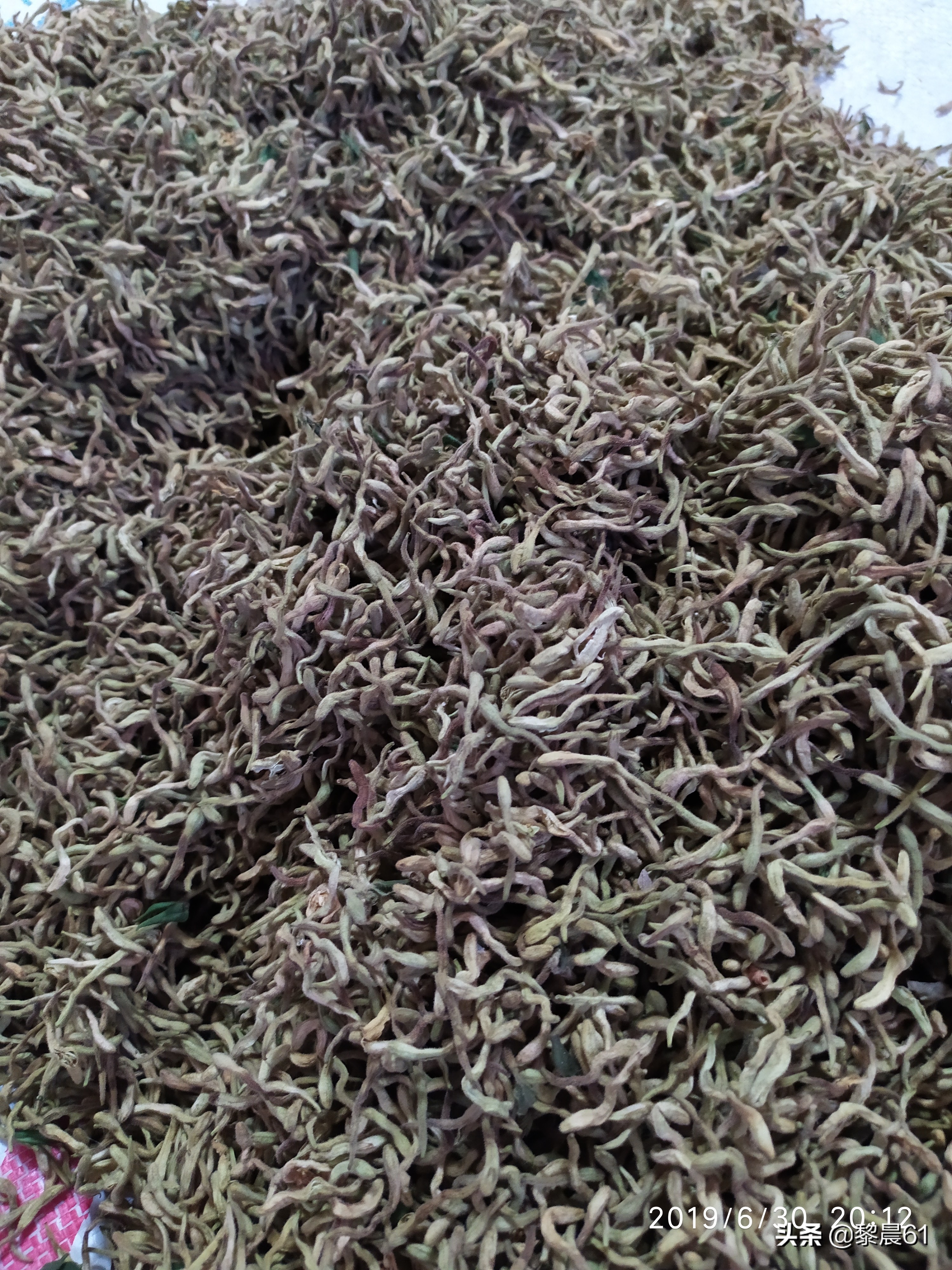 金银花怎么加工才能保住质量,自制金银花全过程