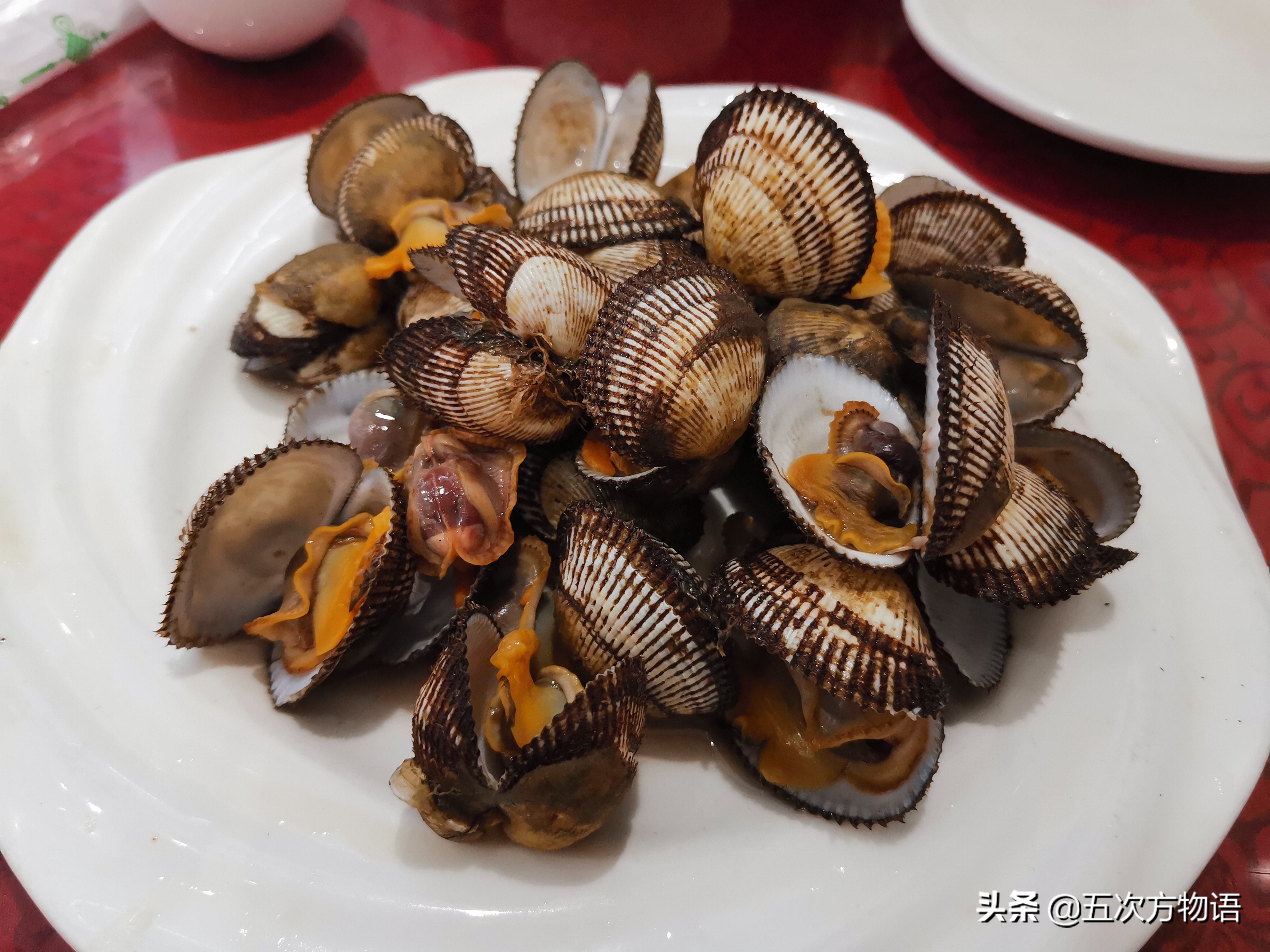 好吃的贝类品种大全,青岛贝类海鲜有哪些品种