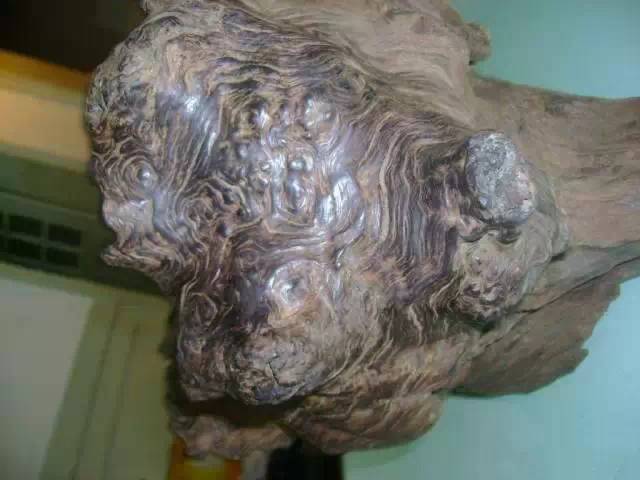 各种木材硬度排行,木材的密度和硬度对照表