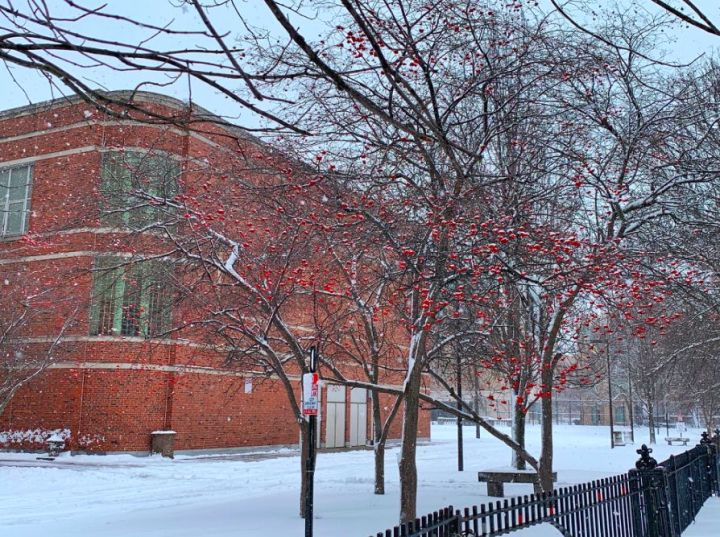 了解真实的日本留学,波士顿留学流程