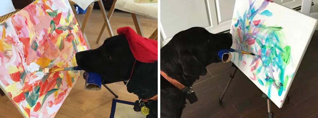 老鼠画画超简单,老鼠画画作品