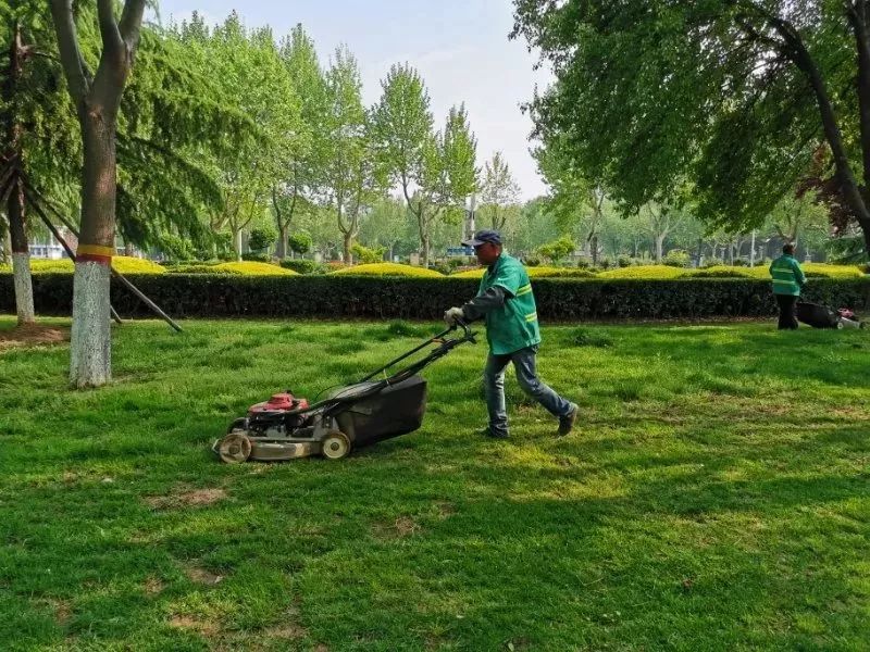 五一石家庄附近去哪旅游免门票,五一石家庄去哪旅游最合适