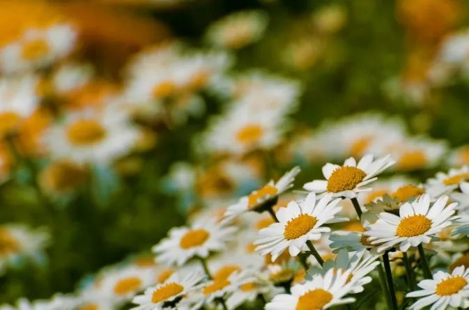 摄影景深和用光,摄影景深是什么意思