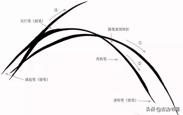 国画兰花技法讲解视频,徐湛国画兰花技法教学