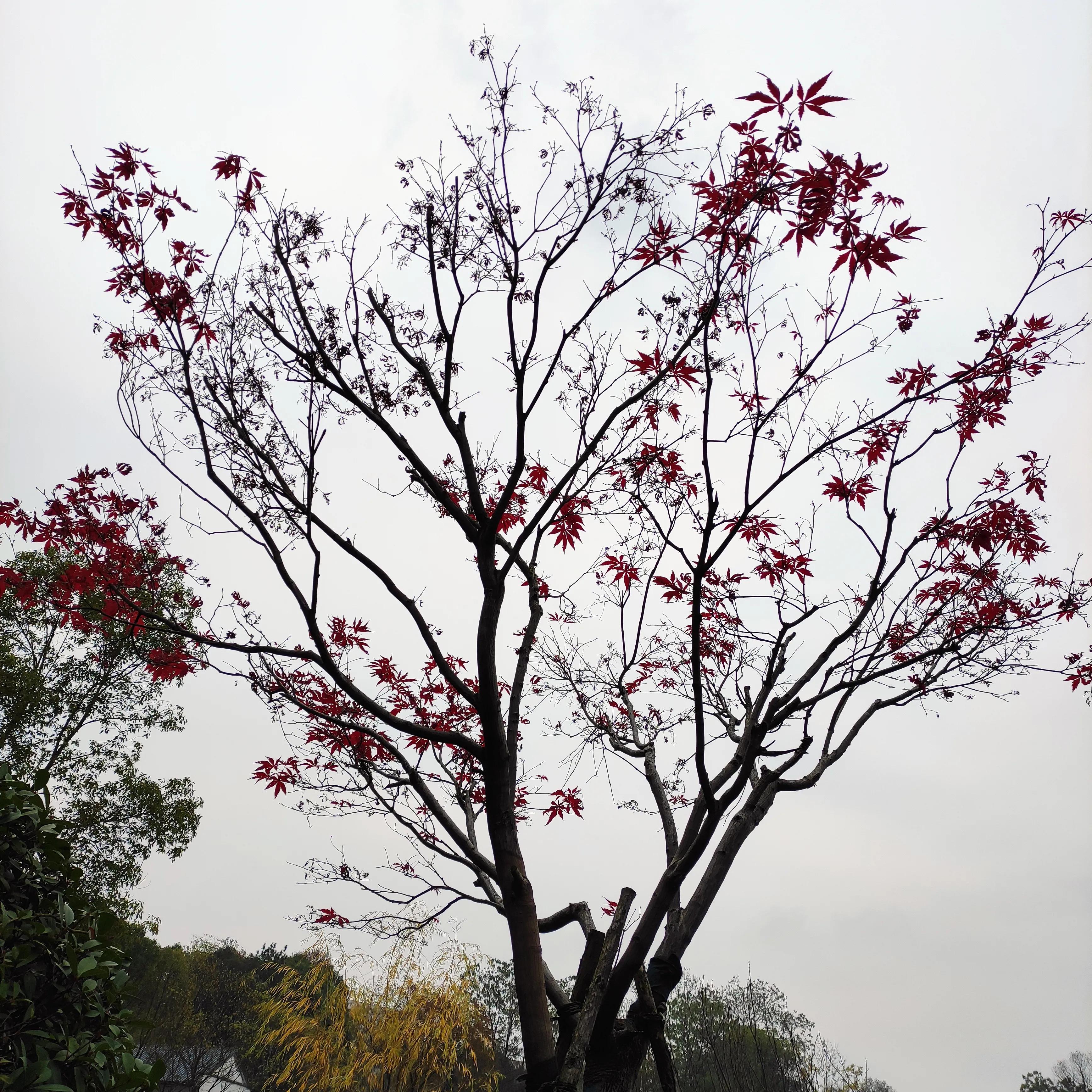 一定要带孩子去这几个城市走走,一生中一定要带孩子去的五个城市