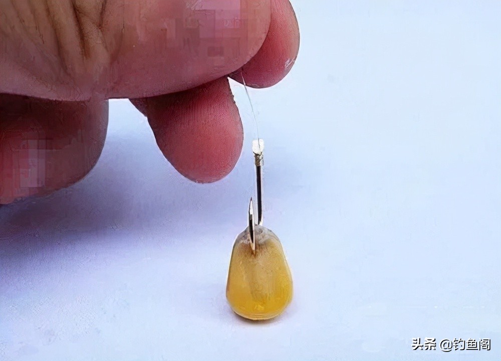 鱼钩和鱼线怎么选择搭配,鱼钩如何正确搭配鱼线