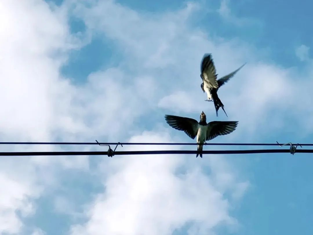 点赞他们的高光时刻,大家用手机拍出过什么好看的照片