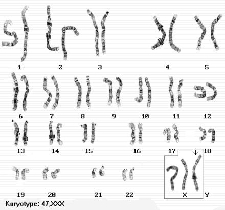 名侦探柯南安室透身份,名侦探柯南安室透个人资料