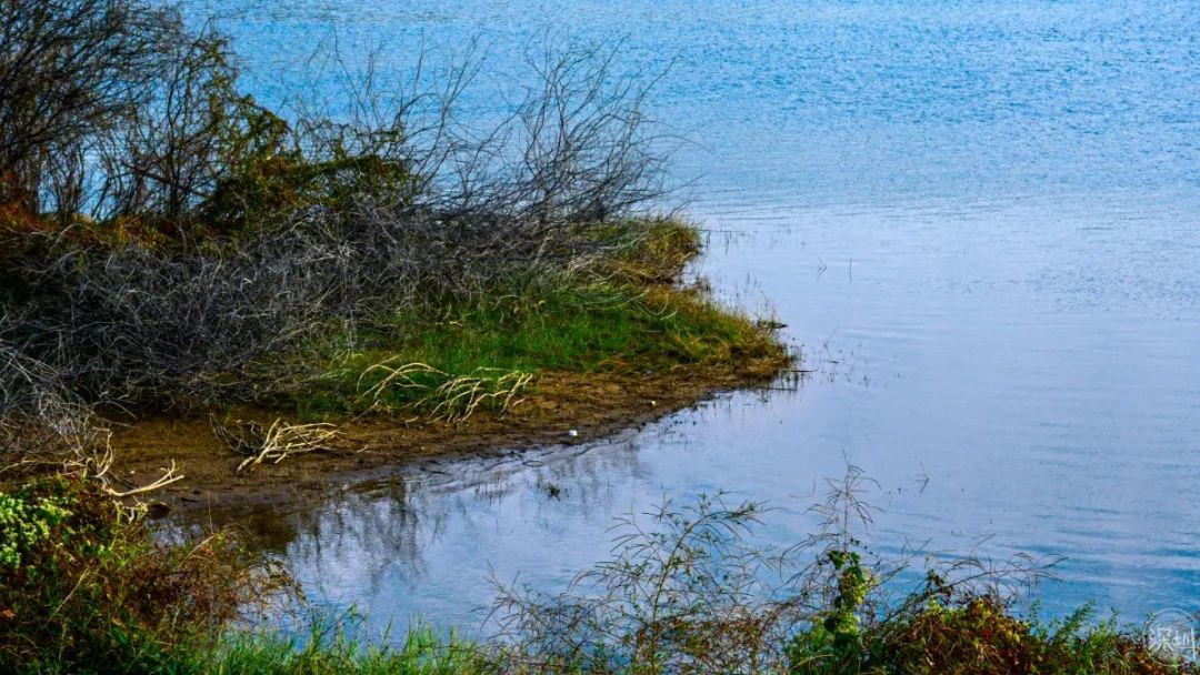 绂忔案鍦ㄥ疂瀹夌殑缁忔祹鍦颁綅,娣卞湷瀹濆畨绂忔案璐㈠瘜鎺掑悕