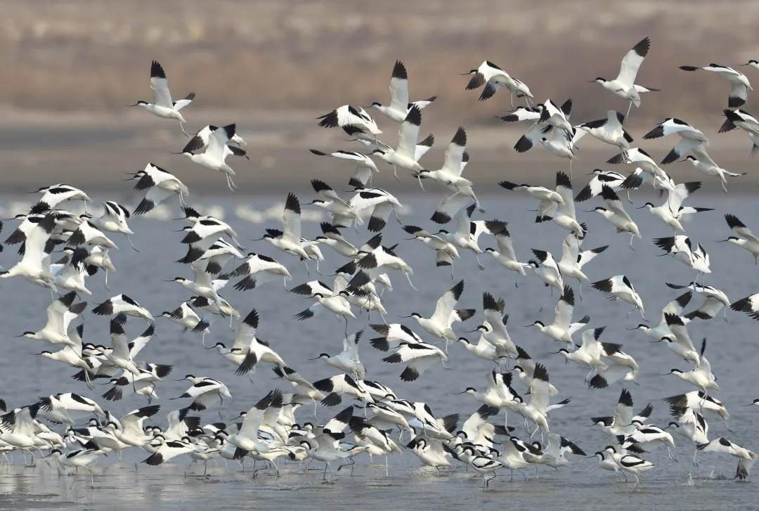 河北唐山海岛旅游攻略,唐山海岛