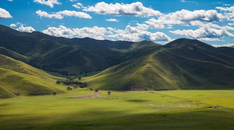 养心养肺之旅,静心养肺养心