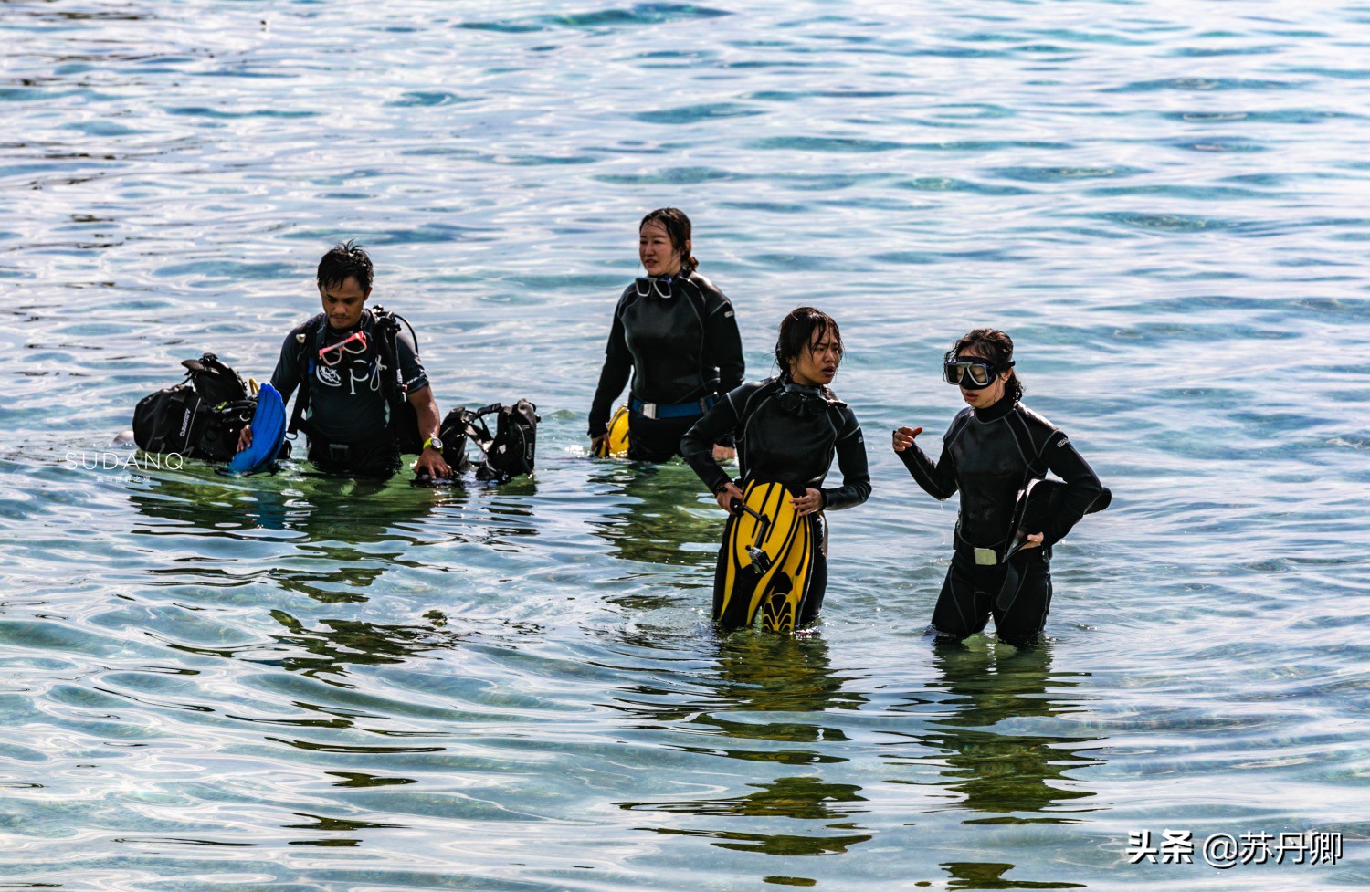 极限潜水死亡名单,潜水的死亡率高