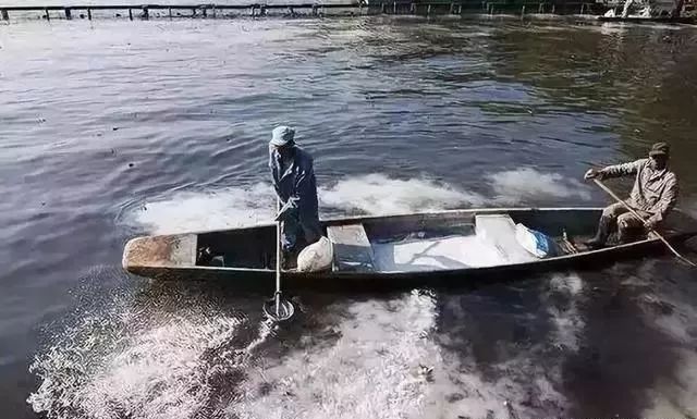 每天都浇水怎么用水溶肥,天天换水适应水质