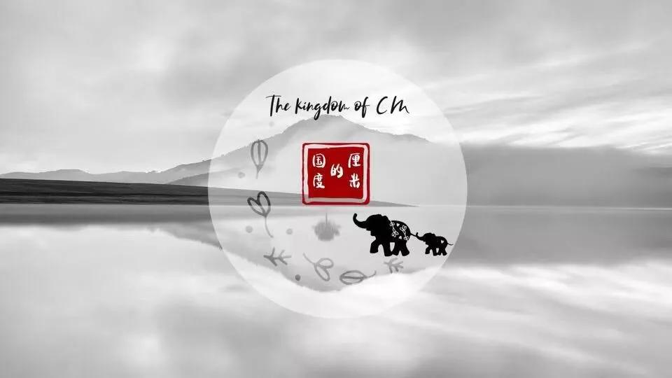 厘米的国度|藏在海底的鹰（4）——乌贼