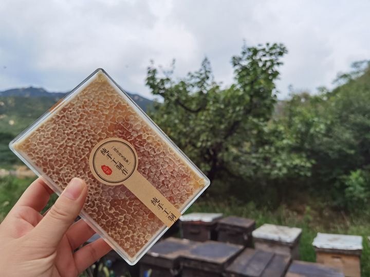 新西兰的蜂蜜好吗,新西兰的蜂蜜品牌排行