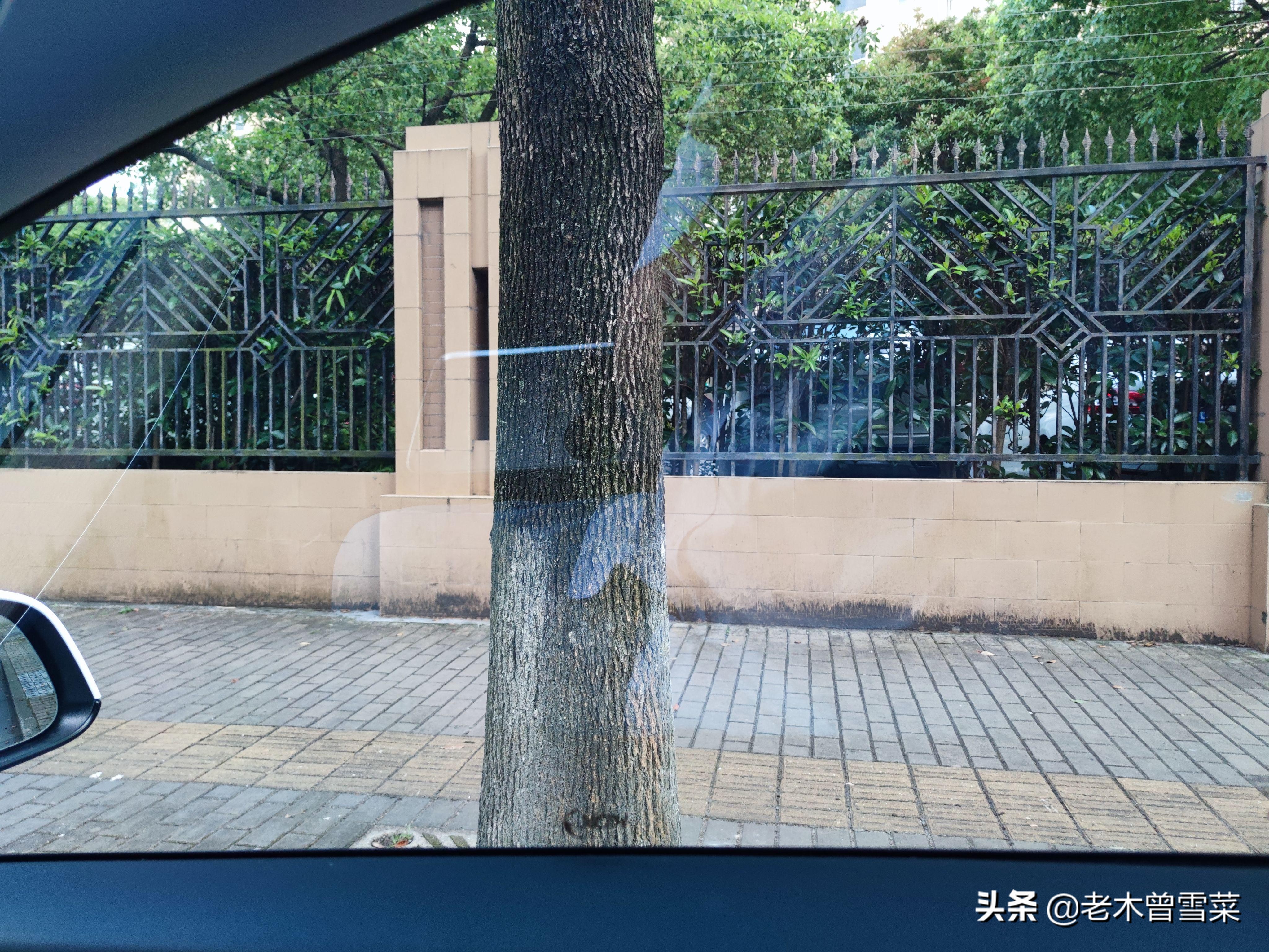 几百块搞定特斯拉全车贴膜——PDD买康得新膜下车记