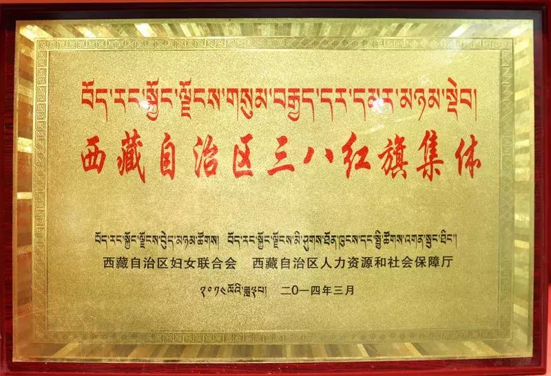 “回眸·40年”林芝公安大家庭的改革开放之荣誉篇（四）