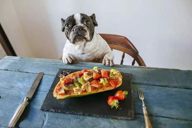 狗狗能吃桔子芦柑之类的水果吗,对狗狗来说这6种水果可致命