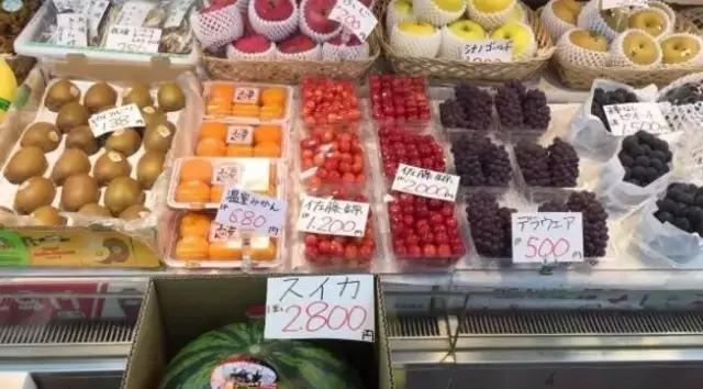 日本人就从来不抱怨苹果太贵，收藏几个异国瓜果能让你变成有钱人