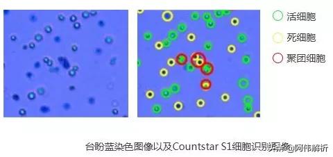 焰色反应实验报告简单,显色反应化学实验高中
