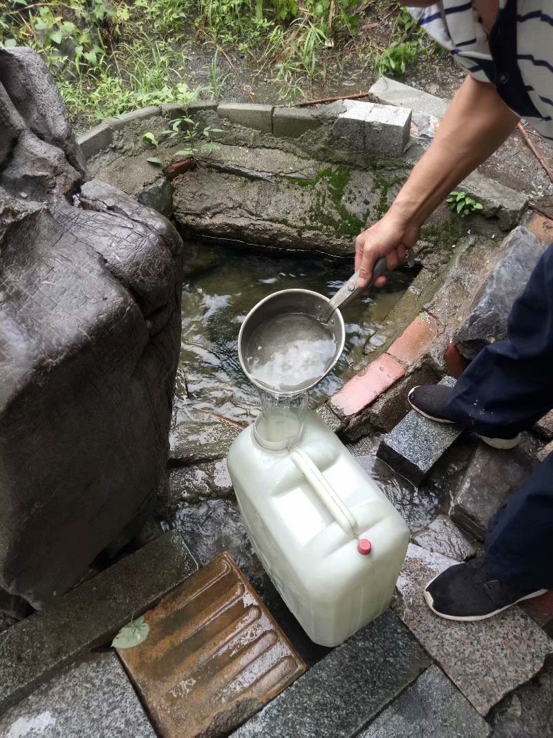 秋天的杨府山公园,秋天的泉山森林公园