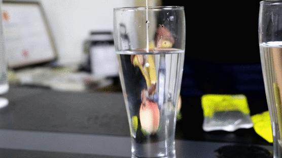 鉴别安耐晒防晒真假,如何辨别安耐晒的真假2020