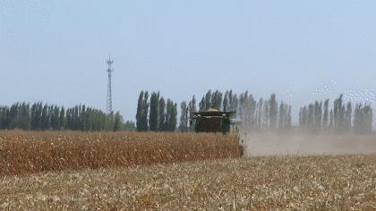 走向小康,走向小康完整版