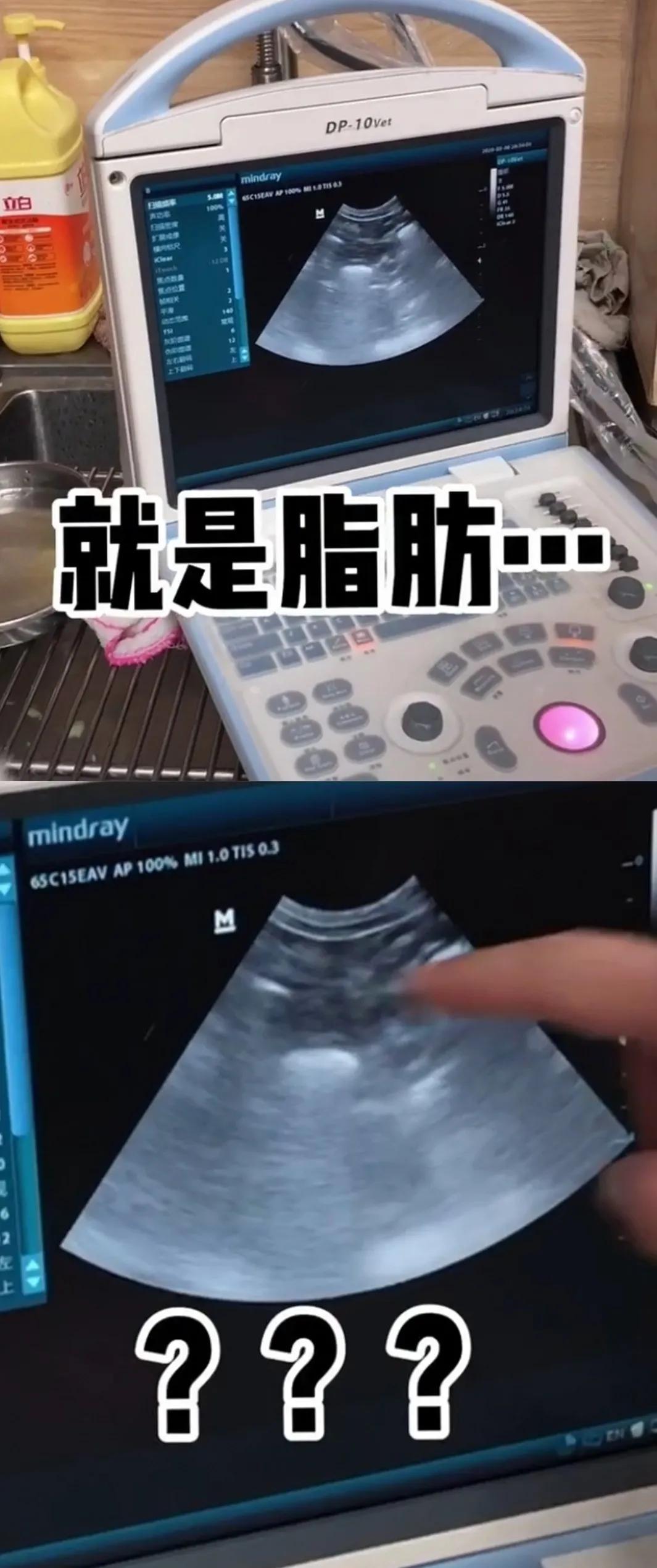 猫抓了有红点是怎么回事,猫轻咬了一下手上起了一个红点