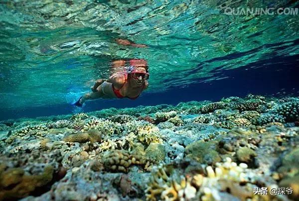 8-12岁重庆萌妹快来免费学潜水画海洋绘画还可得1大1小亲子票