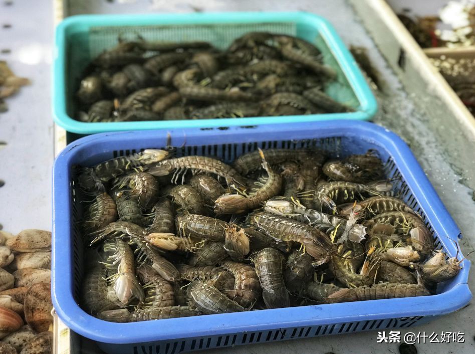 广州海鲜天堂介绍,广州黄沙有哪些海鲜