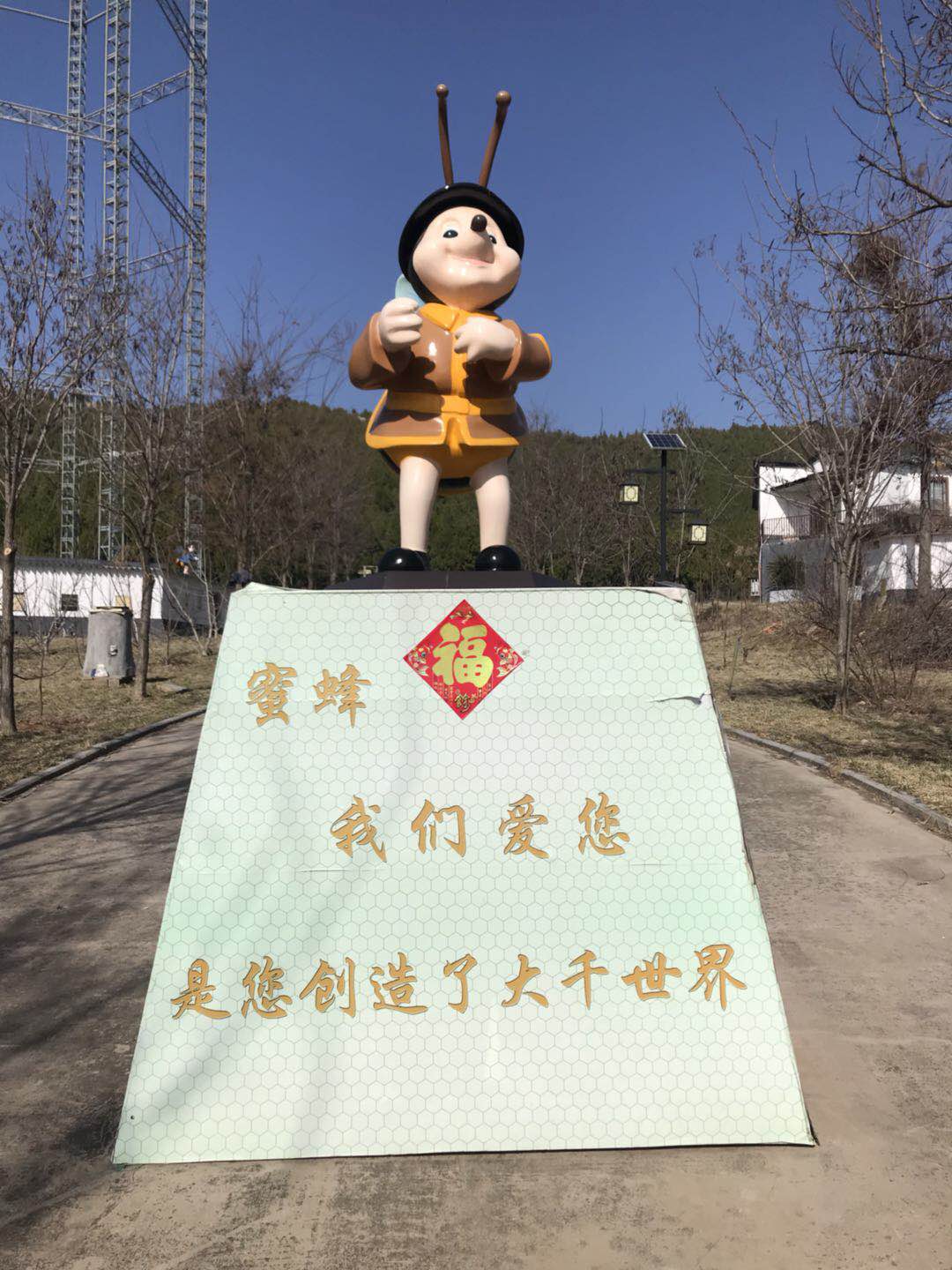 蜂缘蜂胶软胶囊的功效,蜂缘收藏