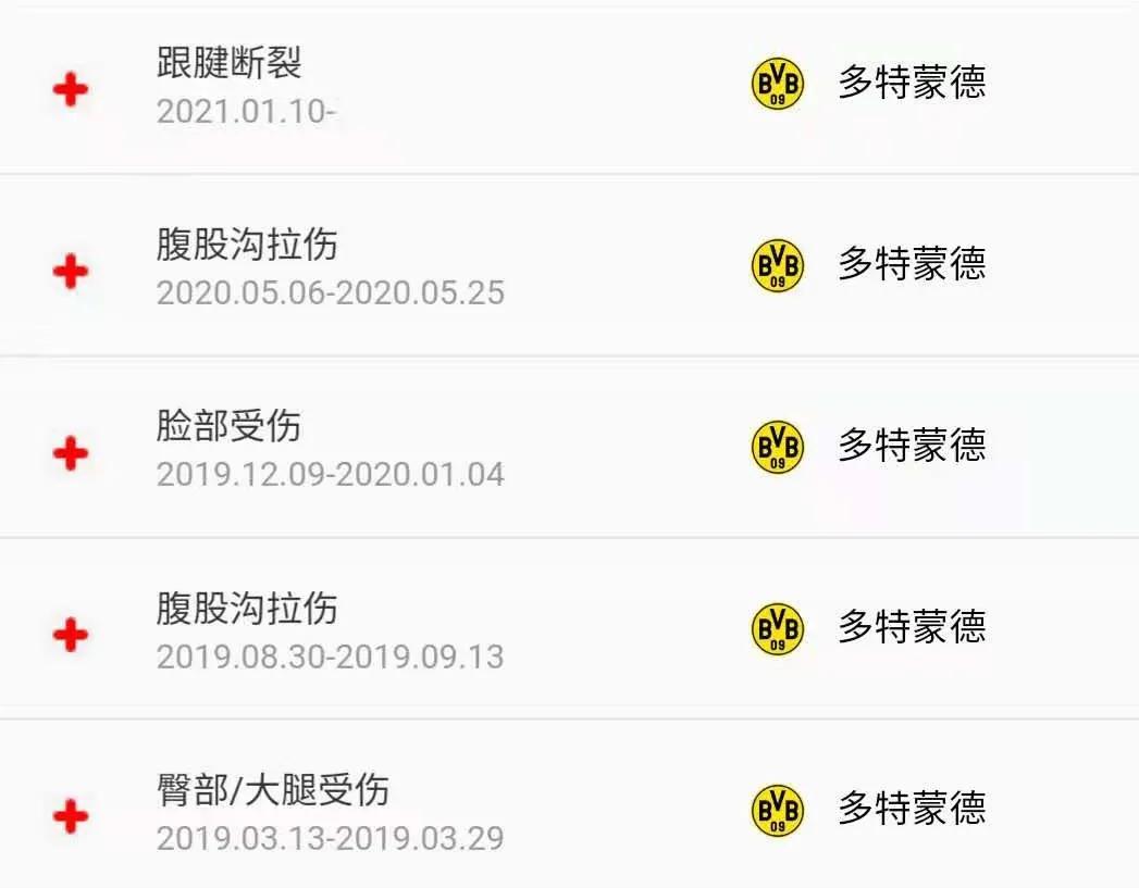 维特塞尔多特蒙德表现,维特塞尔还在多特吗