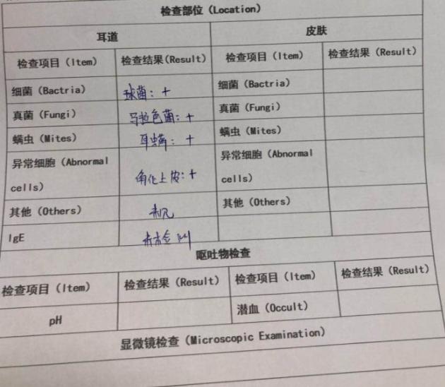 5000元左右的布偶猫怎么样,5000元买布偶猫