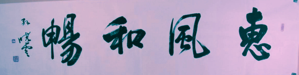 孙晓云和周慧珺比赛,孙晓云和田蕴章的行书