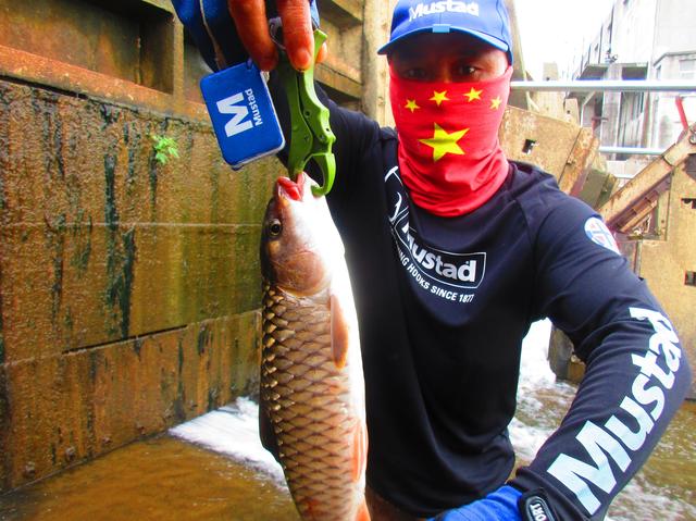 铅头钩和德州钓组哪种好,实战铅头钩最强绑法