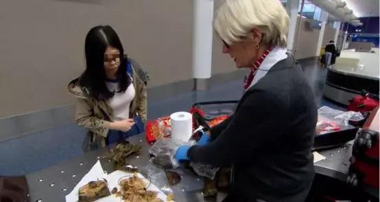 过海关被取消签证还能再申请吗,出国被海关劝返签证还能用吗