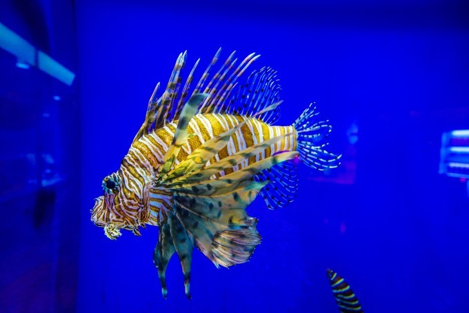 去韩国必买清单,韩国购物攻略衣服