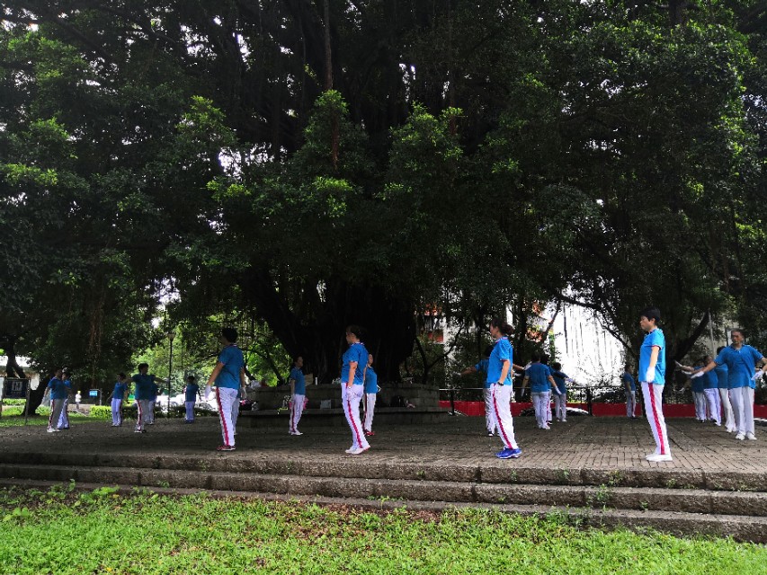 深圳市南山荔枝公园,深圳荔枝公园好看吗