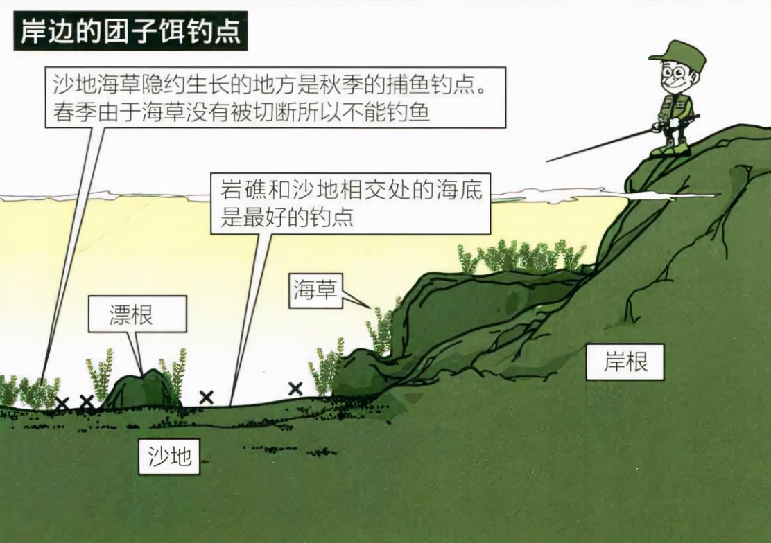 「日本专业矶钓书籍」团子饵钓法，初学者最佳矶钓钓技