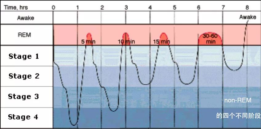 床垫与健康睡眠知识,关于女性睡眠性梦的知识