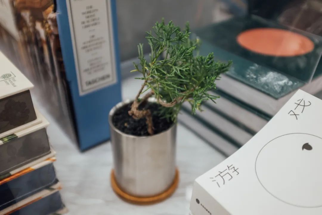 关店潮开店,关店潮店