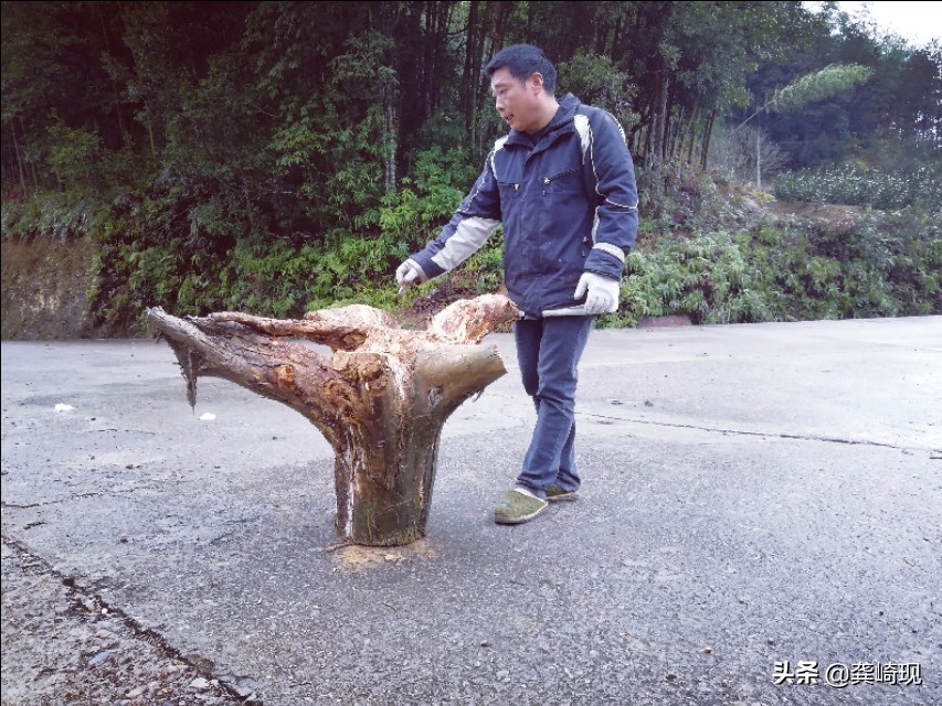 用根雕茶桌喝茶,根雕小茶桌泡茶