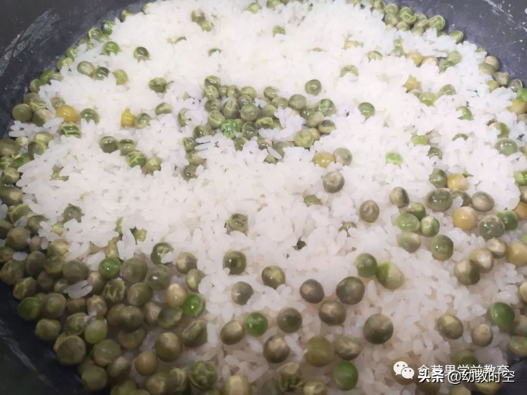 幼稚园思维训练,仪式感满满的幼儿园户外