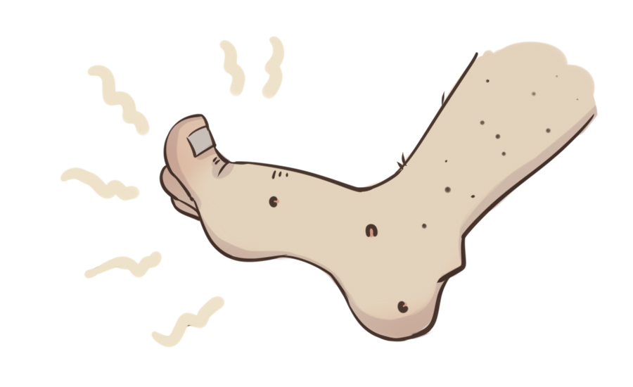 袜子和内裤为啥不能一起洗,裤袜和衣服不能一起洗吗