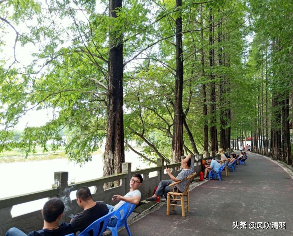 郫都区被遗忘的角落,成都郫都区和犀浦是一个地方吗