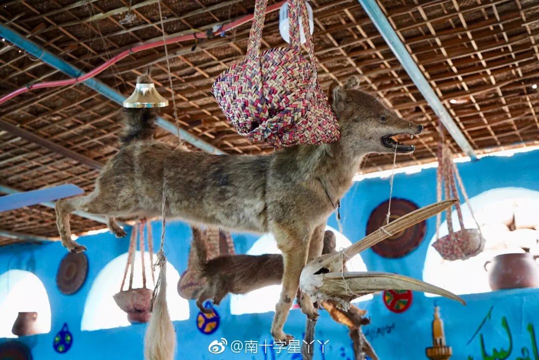 包机直飞埃及旅游,杭州可直飞开罗吗