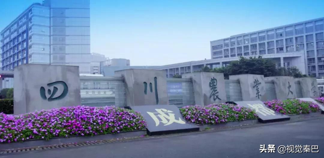 鍗佷簩鏃惰景鐪嬫噦浜虹敓,璇绘噦12鏃惰景