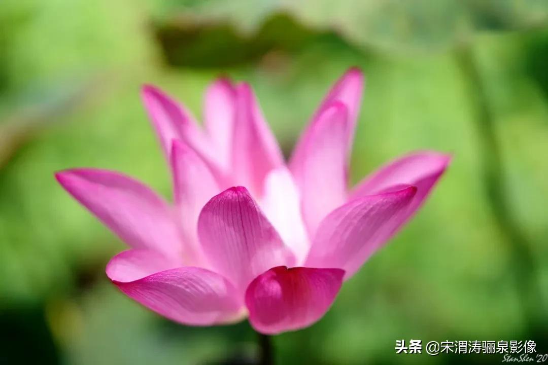 令人振奋的宾得HDPENTAXDFA*85mmF/1.4EDSDMAW