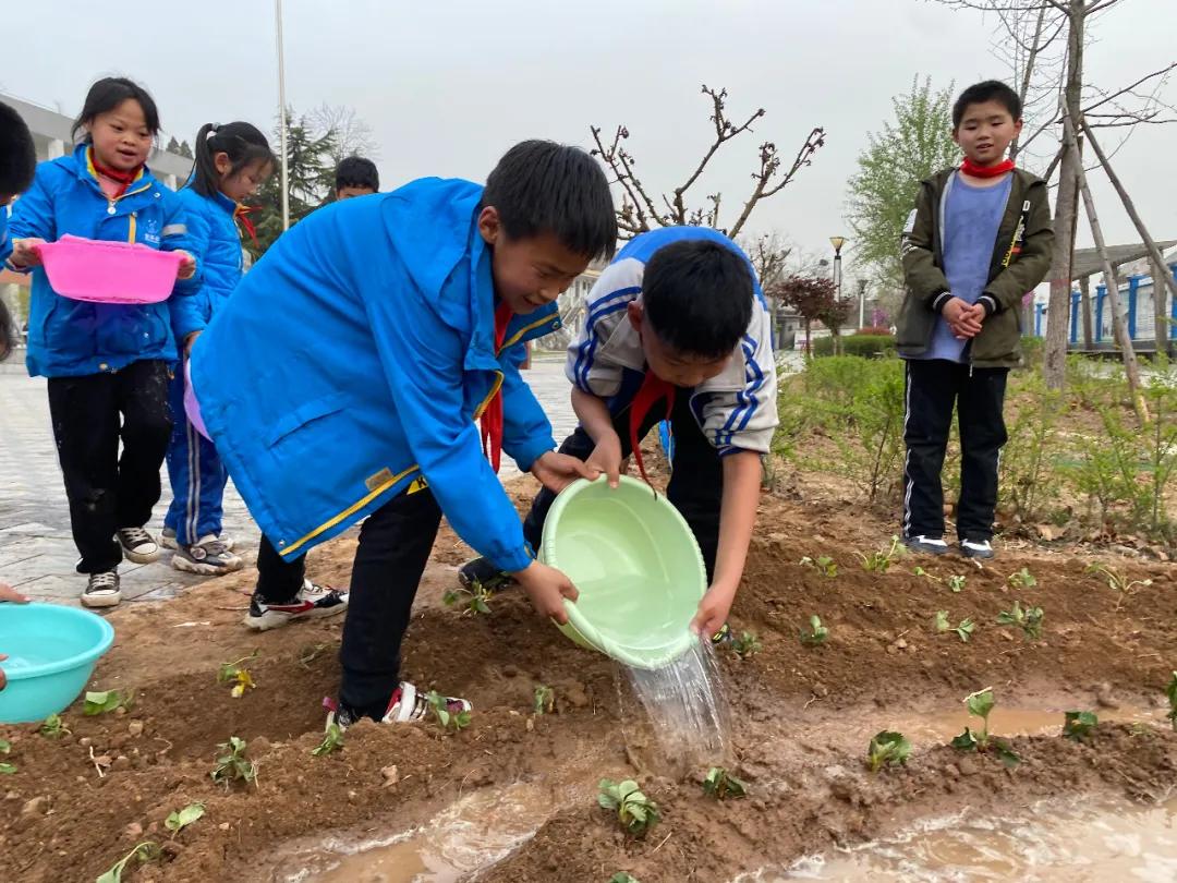 大山里的学校,大山里的学校生活图片