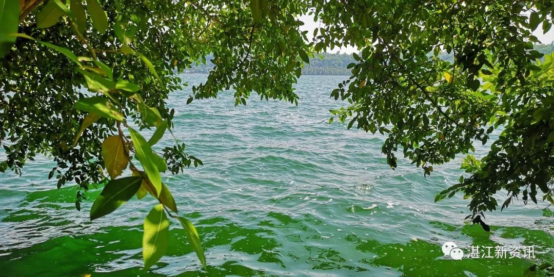 蓝天白云湖面碧波荡漾天然氧吧,湖光岩大自然天然氧吧